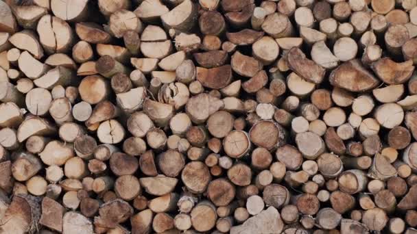 Крупним планом знімок складеного дров на відкритому повітрі — стокове відео