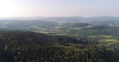 Ormanın Üzerinde Uçmak. Yukarıdan Orman