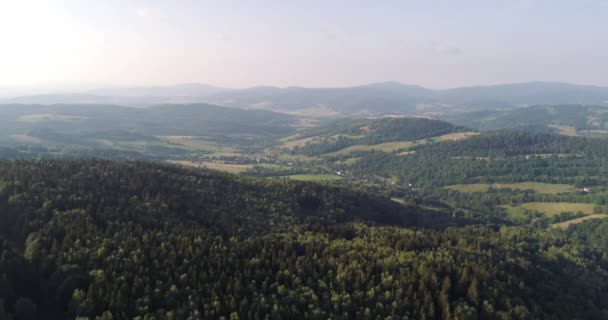 Voando sobre a floresta. Floresta de cima — Vídeo de Stock