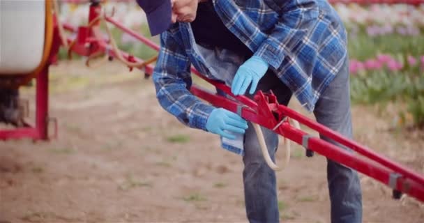 Agricultor que trabaja con tractor en la plantación de flores de la granja agrícola — Vídeos de Stock