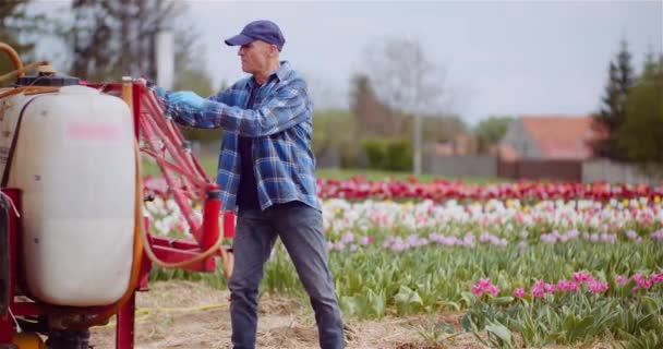 Jordbrukare som arbetar med traktor på lantbrukets blomsterplantering — Stockvideo