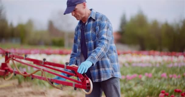 Landbouwer werkt met Tractor op landbouwbedrijf Bloemplantage — Stockvideo