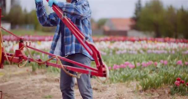 農業生花農園でトラクターと一緒に働く農家 — ストック動画