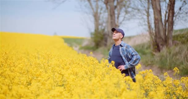 Portrait de l'agriculteur travaillant à la ferme — Video