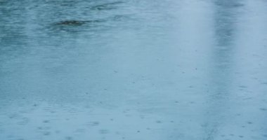 Bir su yüzeyine sağanak yağmur yağıyor