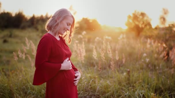 Donna incinta in attesa di bambino neonato — Video Stock