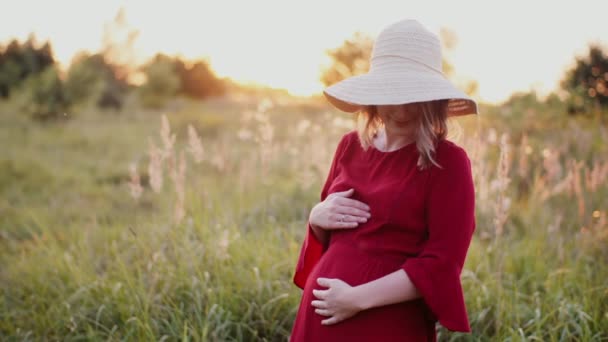 O femeie însărcinată așteaptă un nou-născut — Videoclip de stoc