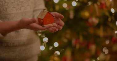 çeşitli noel ağacı süslemeleri Noel baloları