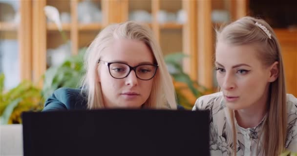 Kadın Meslektaşlar Ofiste İş Stratejisini Tartışıyor — Stok video