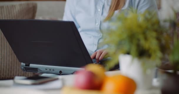 Femme d'affaires Ecrire un e-mail sur un ordinateur portable — Video