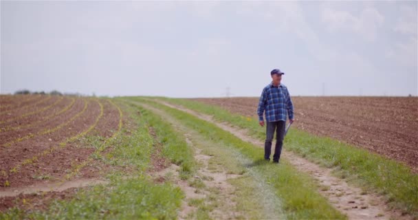 Tankeväckande Man Agronomist Skriva på Urklipp — Stockvideo