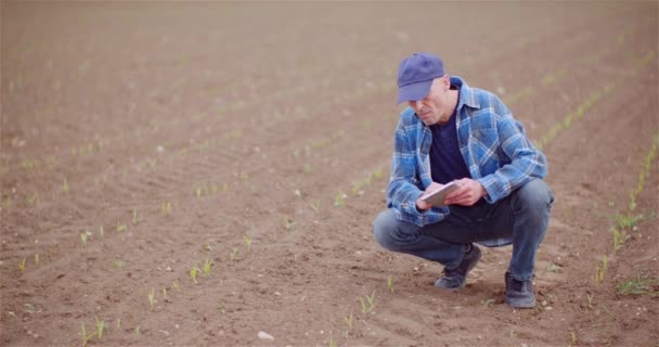 Agricultor examinando las plantas de campo agrícolas mientras trabaja en la computadora digital de la tableta en la granja. — Vídeos de Stock