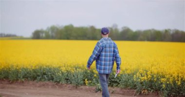 Çiftçinin Tarım Alanını İncelemesi Çiftlikteki Dijital Tablet Bilgisayarında Çalışırken.