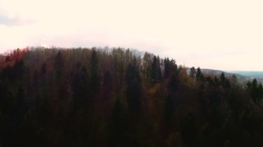 Düğün yemeği için dekore edilmiş masa.