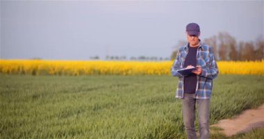 Tarım, Gıda Üretimi - Tarladaki Ekinleri İnceleyen Çiftçi