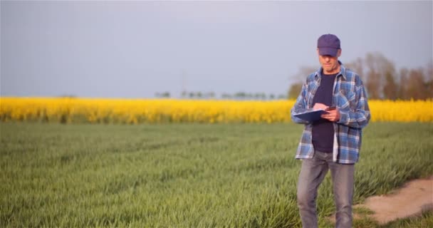 Jordbruk, livsmedelsproduktion - lantbrukare undersöker grödor på fältet — Stockvideo