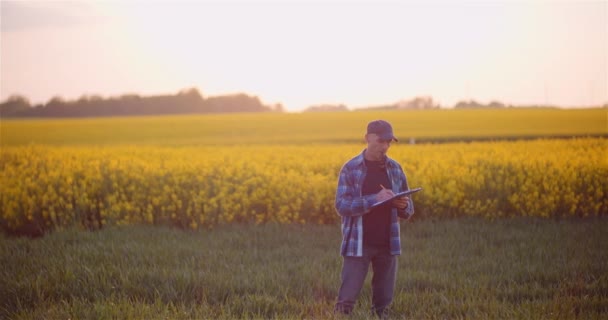 Landbouw, voedselproductie - Landbouwer die gewassen op het veld onderzoekt — Stockvideo