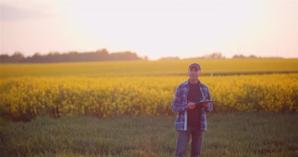 Landwirtschaft, Nahrungsmittelproduktion - Landwirt untersucht Feldfrüchte — Stockvideo