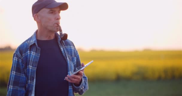 Agriculture, production alimentaire - agriculteur examinant les cultures en plein champ — Video