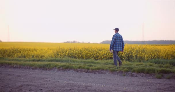 Jordbruk, livsmedelsproduktion - lantbrukare undersöker grödor på fältet — Stockvideo