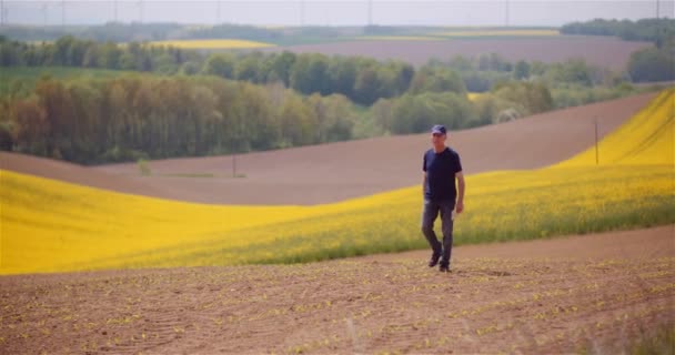 Agricultura, producción de alimentos: los agricultores examinan los cultivos en el campo — Vídeo de stock