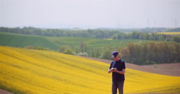 Rolnictwo, produkcja żywności - rolnicy badający uprawy na polu — Wideo stockowe