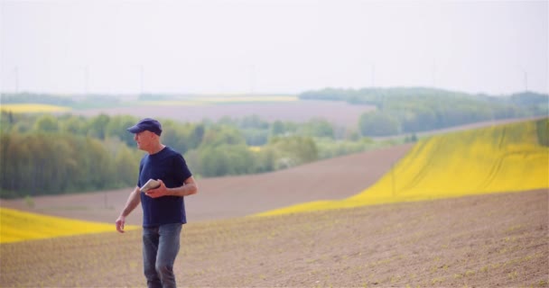 Landbouw, voedselproductie - Landbouwer die gewassen op het veld onderzoekt — Stockvideo