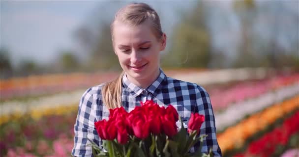 Donna che tiene il mazzo di tulipani nelle mani mentre cammina sul campo di tulipani — Video Stock