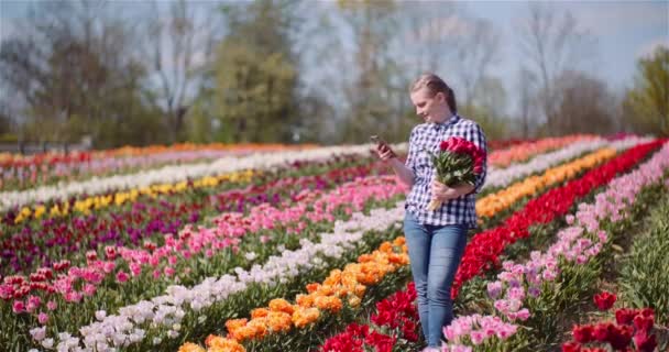 Frau hält Tulpenstrauß in Händen, während sie Selfie-Foto auf Tulpenfeld macht — Stockvideo