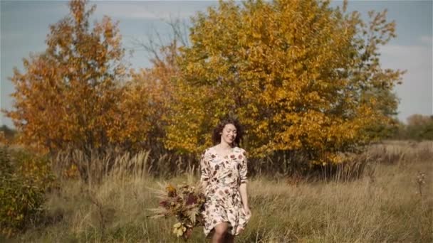 夏天在草原上散步的女人 — 图库视频影像