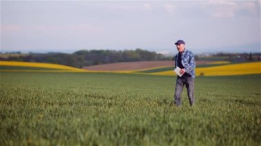 Sarhoş Çiftçi Buğday Tarlasında Yürüyor