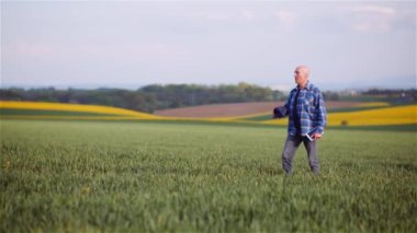 Çiftçi buğday tarlası tarımını inceliyor