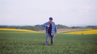 Çiftçi buğday tarlası tarımını inceliyor