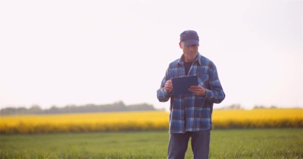 Boer praten op mobiele telefoon tijdens het werken in een veld Landbouw — Stockvideo