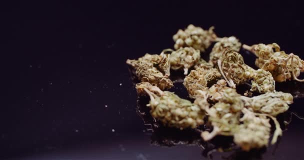 Close up de Cannabis girando em fundo preto. — Vídeo de Stock