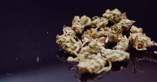 黒の背景で回転する大麻の閉鎖. — ストック動画