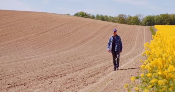 농장의 농업 개념에서 라 플 레이드 작물을 조사하는 농민. — 비디오