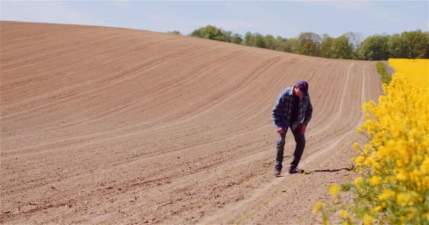 Farmer Examining Rapeseed Crops at Farm Agriculture Concept. — Stock Video