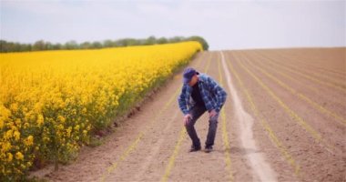 Toprak, tarım, çiftçilerin elleri organik toprağı tutuyor ve geri döküyor. Çiftçi Çiftlikteki Toprağa Dokunuyor.