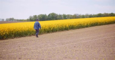 Çiftçi Çiftlik Tarım Konseptinde Tecavüz Tohumu Ekinlerini İnceledi.
