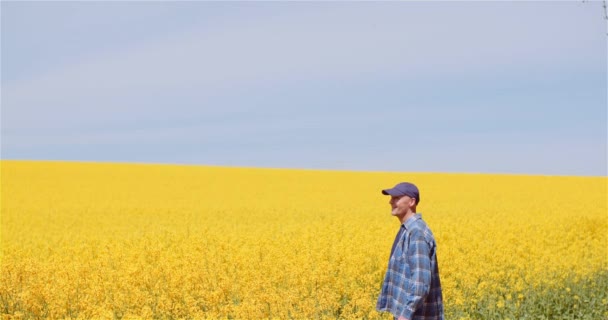 Landwirt untersucht Rapspflanzen bei landwirtschaftlichem Konzept. — Stockvideo