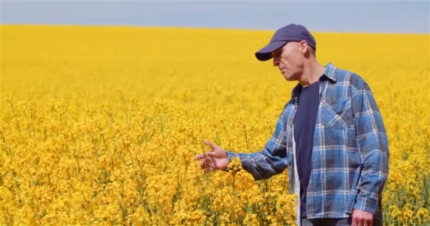 Jordbrukare som undersöker rapsfrögrödor på lantbrukskonceptet. — Stockvideo