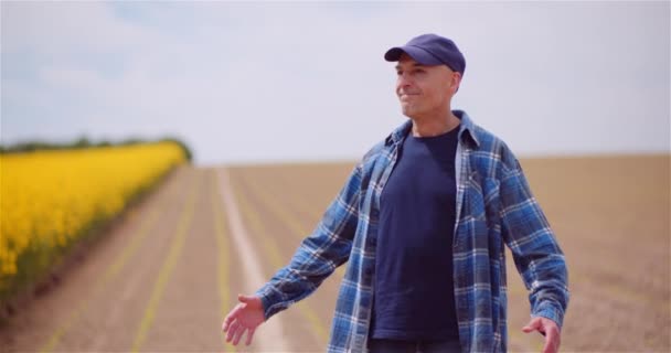 Landwirt untersucht Rapspflanzen bei landwirtschaftlichem Konzept. — Stockvideo