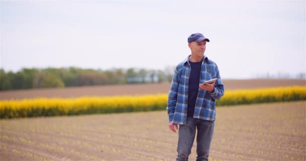 Jordbrukare som undersöker rapsfrögrödor på lantbrukskonceptet. — Stockvideo