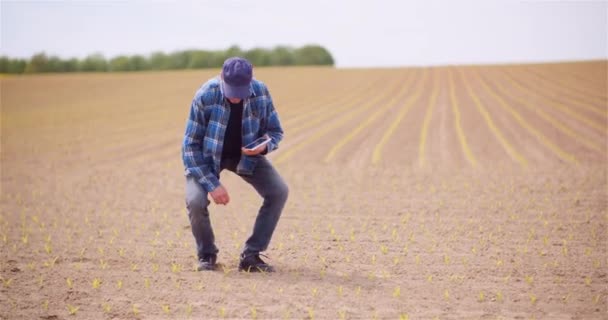 Landwirt untersucht Rapspflanzen bei landwirtschaftlichem Konzept. — Stockvideo