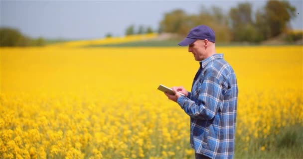 Farmer Examining Rapeseed Crops at Farm Agriculture Concept. — Stock Video