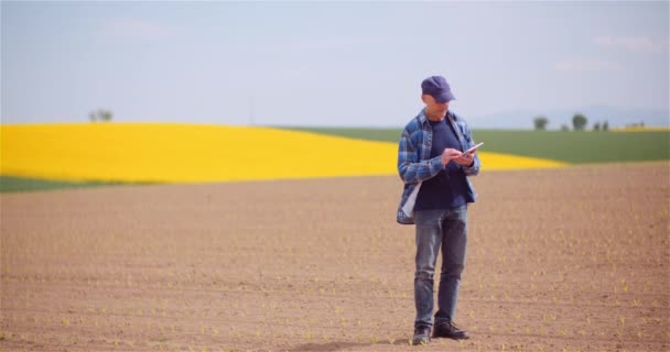 Agricultor examinando cultivos de colza en Farm Agriculture Concept. — Vídeos de Stock