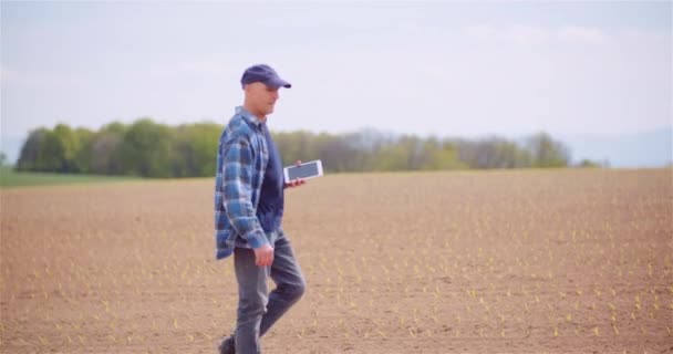 Agricultorul examinează culturile de rapiță la conceptul agricol . — Videoclip de stoc