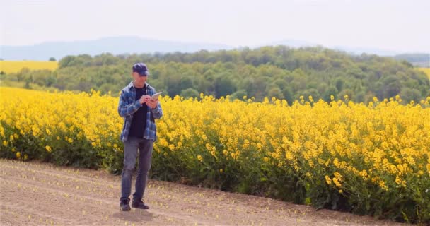 Landwirt untersucht Rapspflanzen bei landwirtschaftlichem Konzept. — Stockvideo