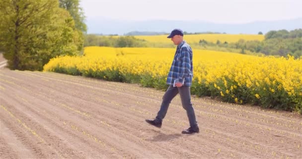 Mezőgazdaság - Mezőgazdasági termelő séta a szántóföldi növények vizsgálata a gazdaságban alkonyatkor. — Stock videók